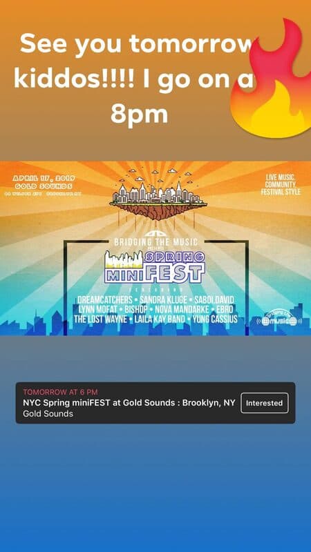 Spring miniFEST flyer