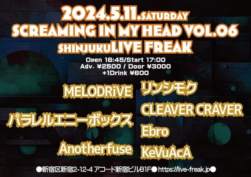 Screaming In My Head Vol.06 flyer